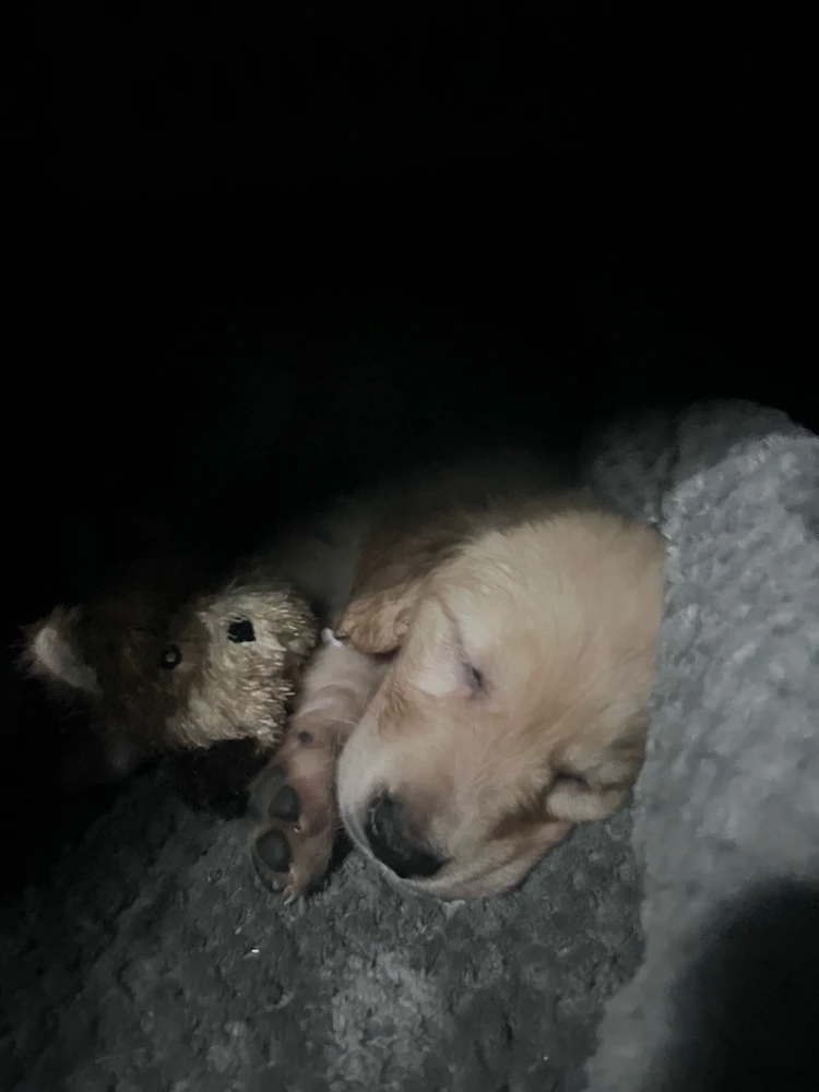 The day she came home!