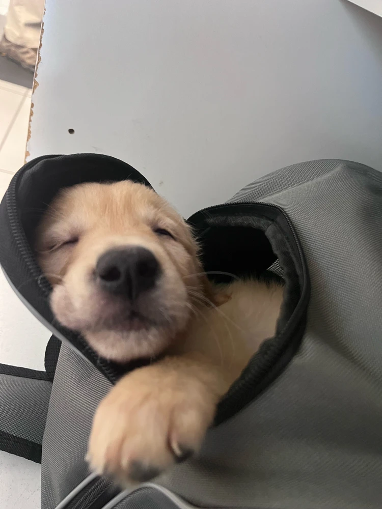 Snuck her into work lol