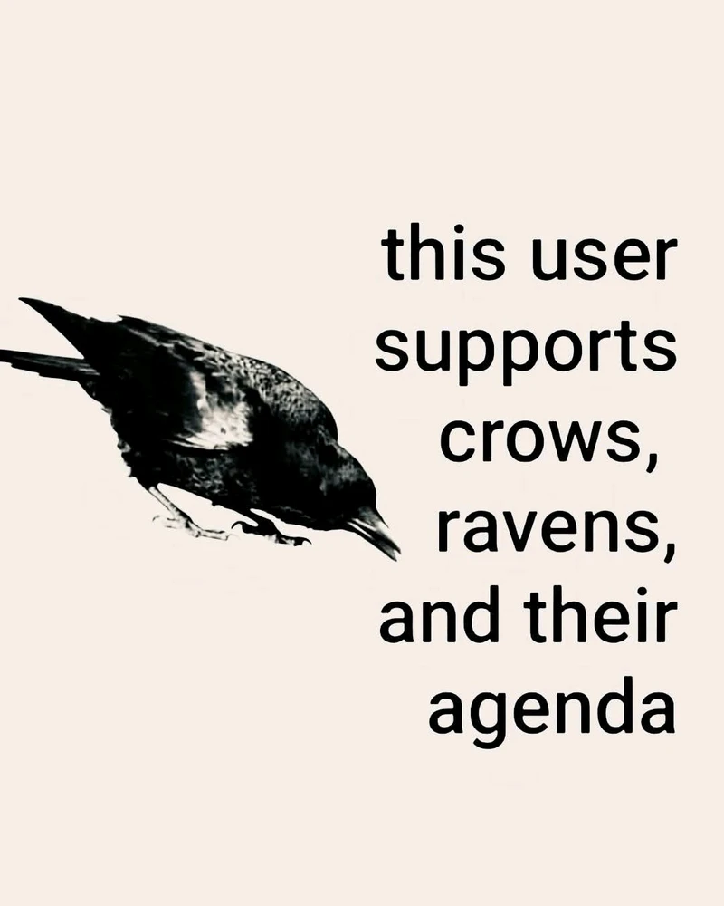 GIF diunggah dening Bruce elliott