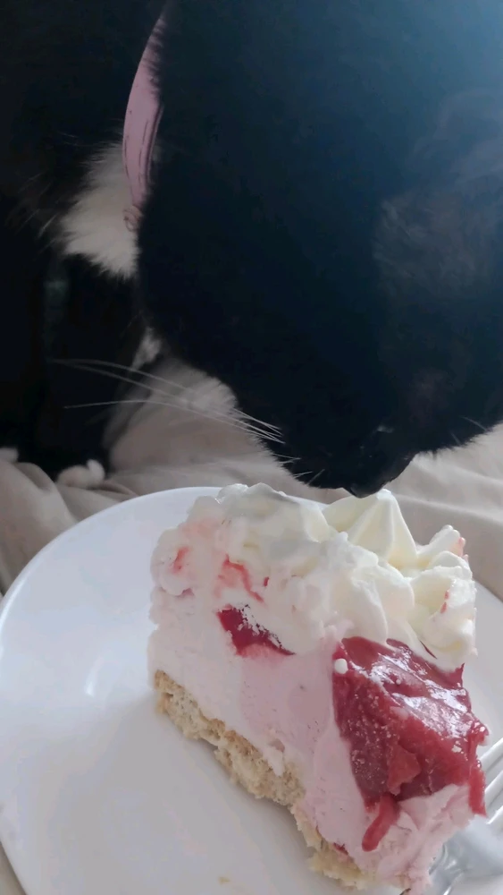 GIF uploaded by Vanessa