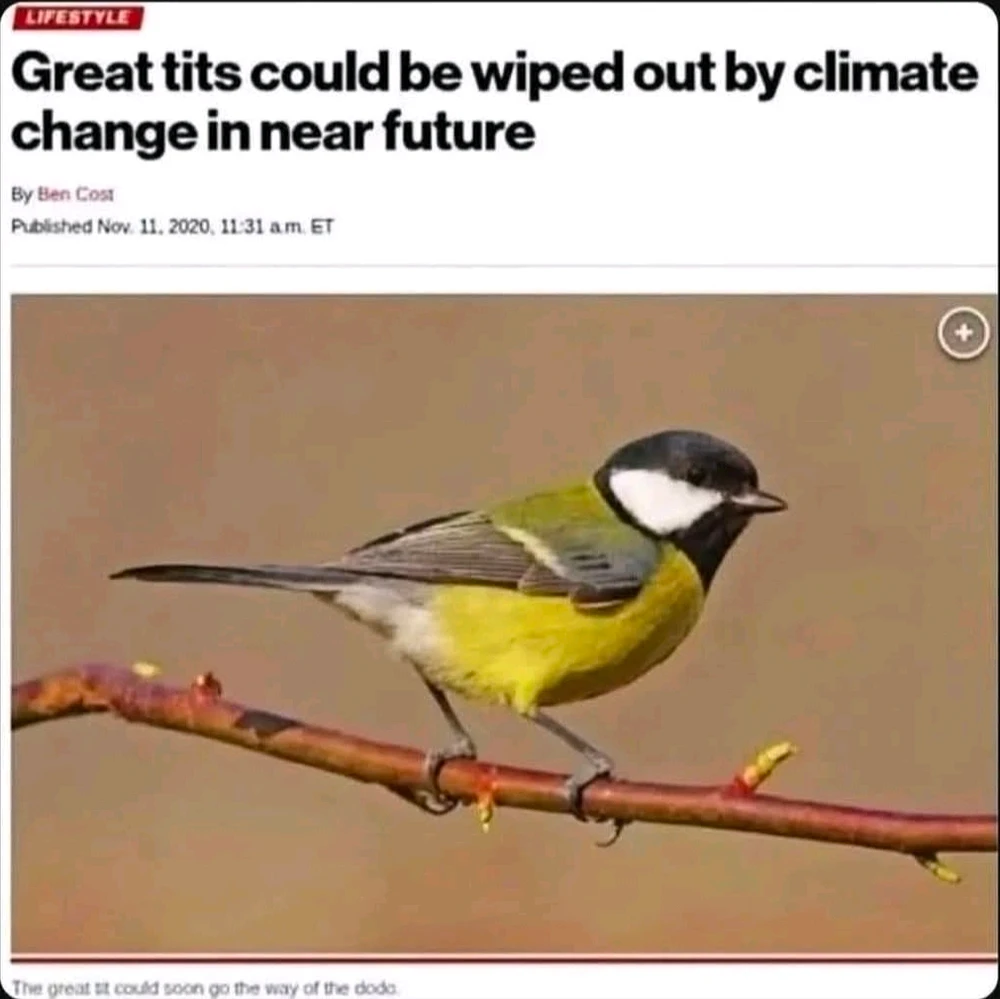 GIF diunggah dening Casey