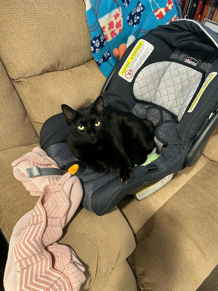 GIF uploaded by Casey