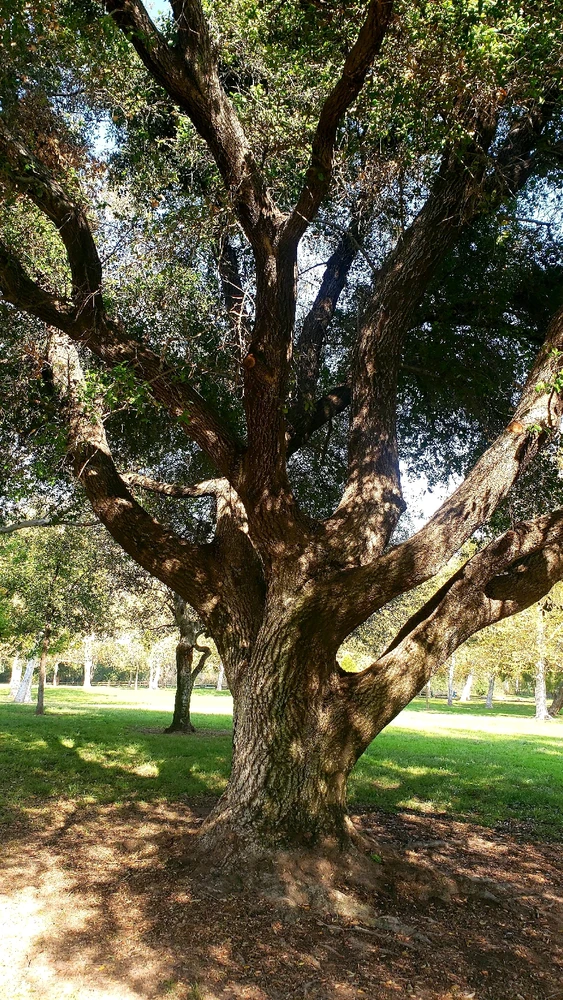 GIF uploaded by laila♡