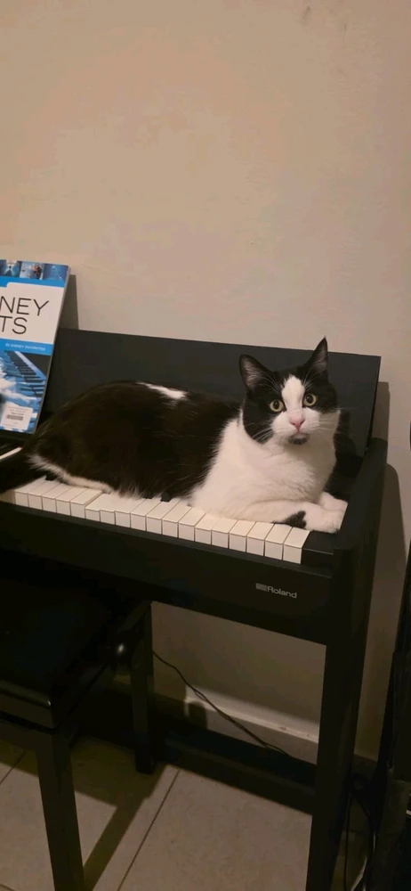 GIF geüpload door Tom