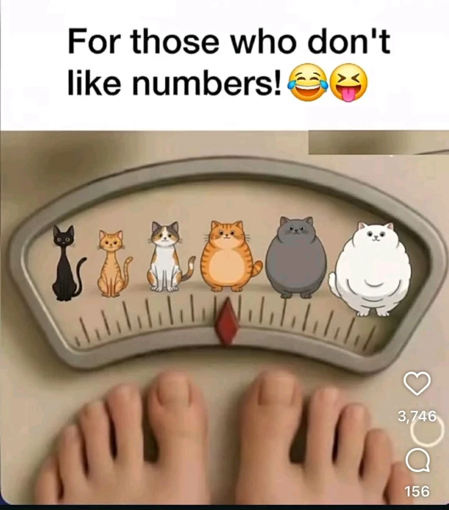 GIF dodany przez Oenom