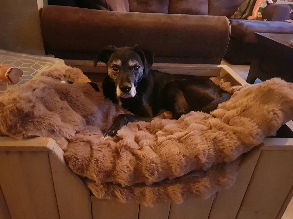 Afbeelding geüpload door Linda