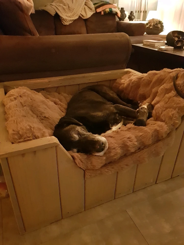 Afbeelding geüpload door Linda