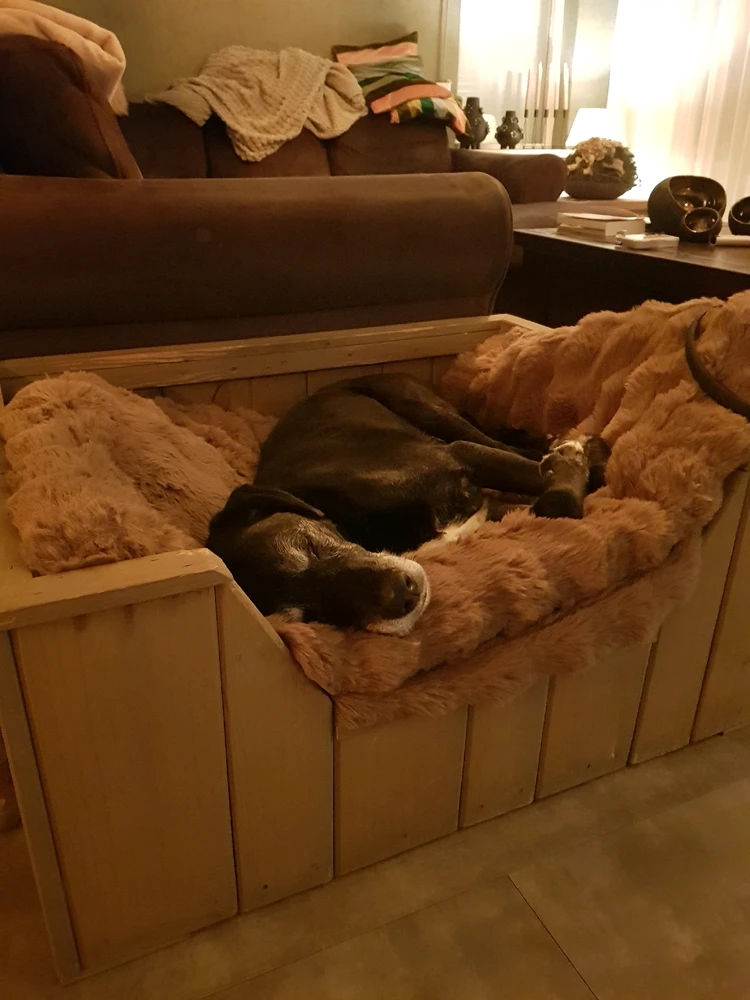 Afbeelding geüpload door Linda