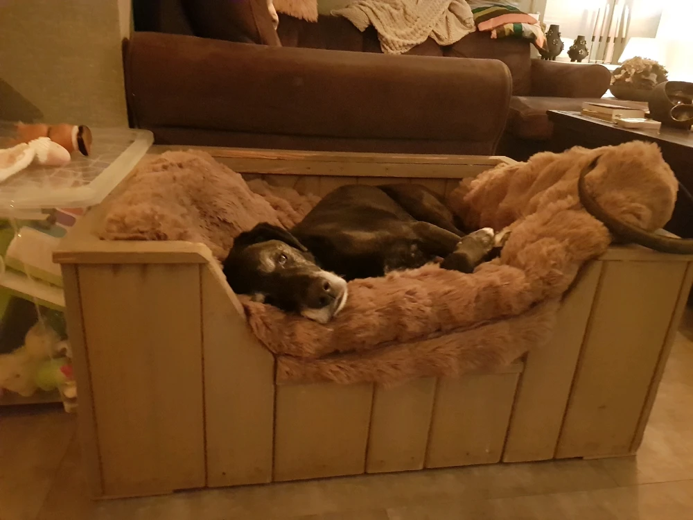 Afbeelding geüpload door Linda