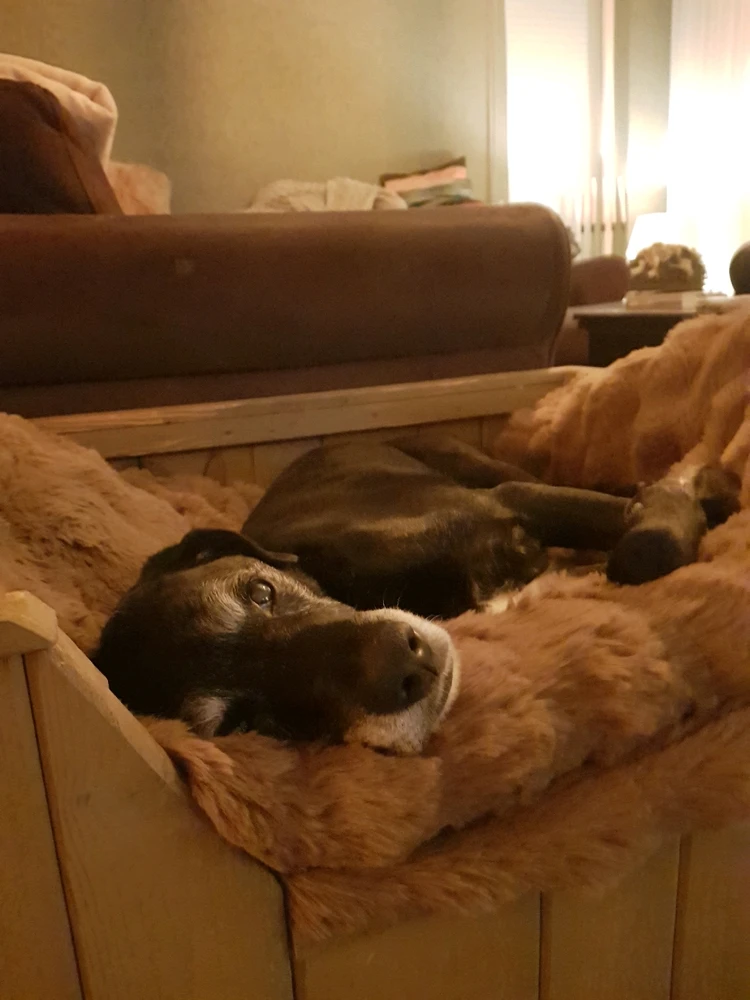 Afbeelding geüpload door Linda