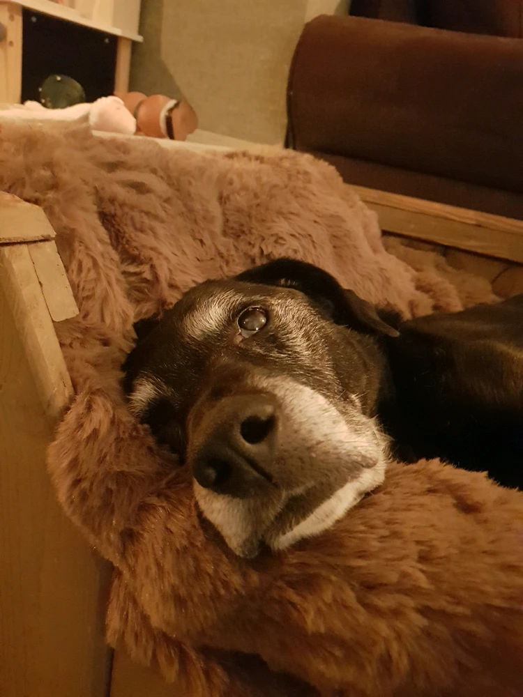 Afbeelding geüpload door Linda