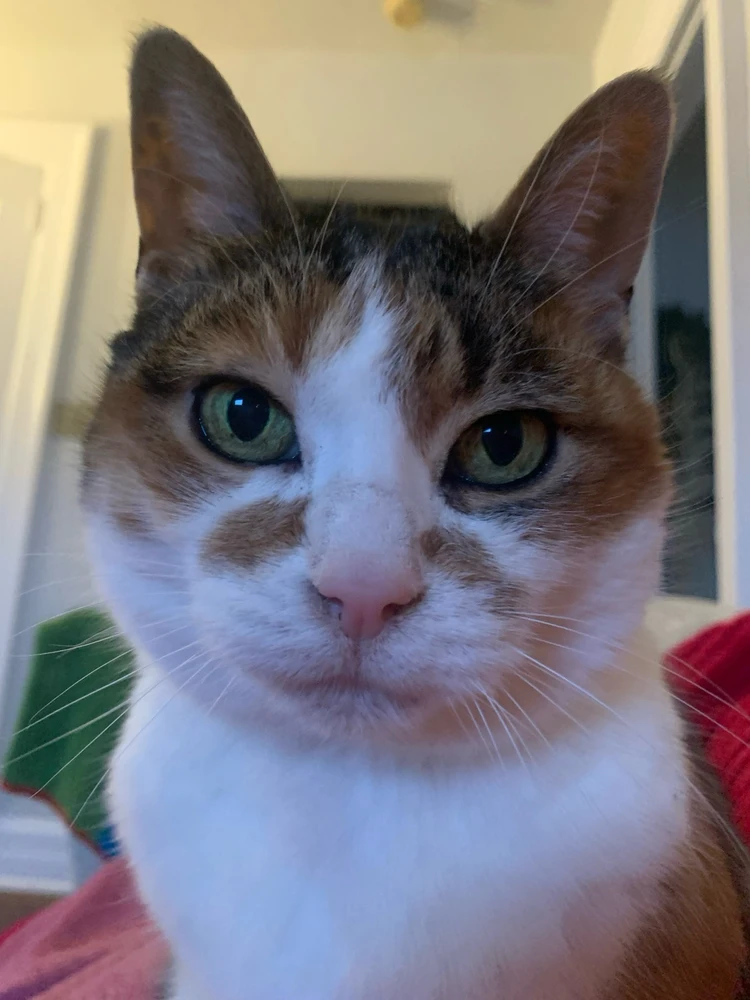 GIF uploaded by Jessica