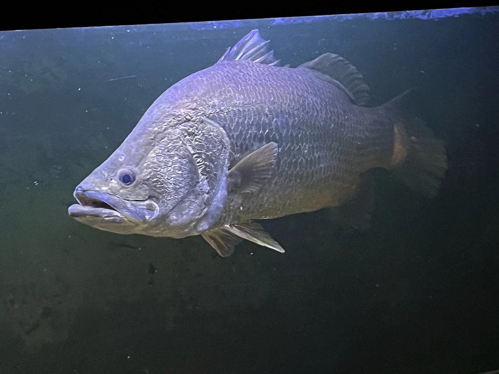 Image uploaded by Pascal