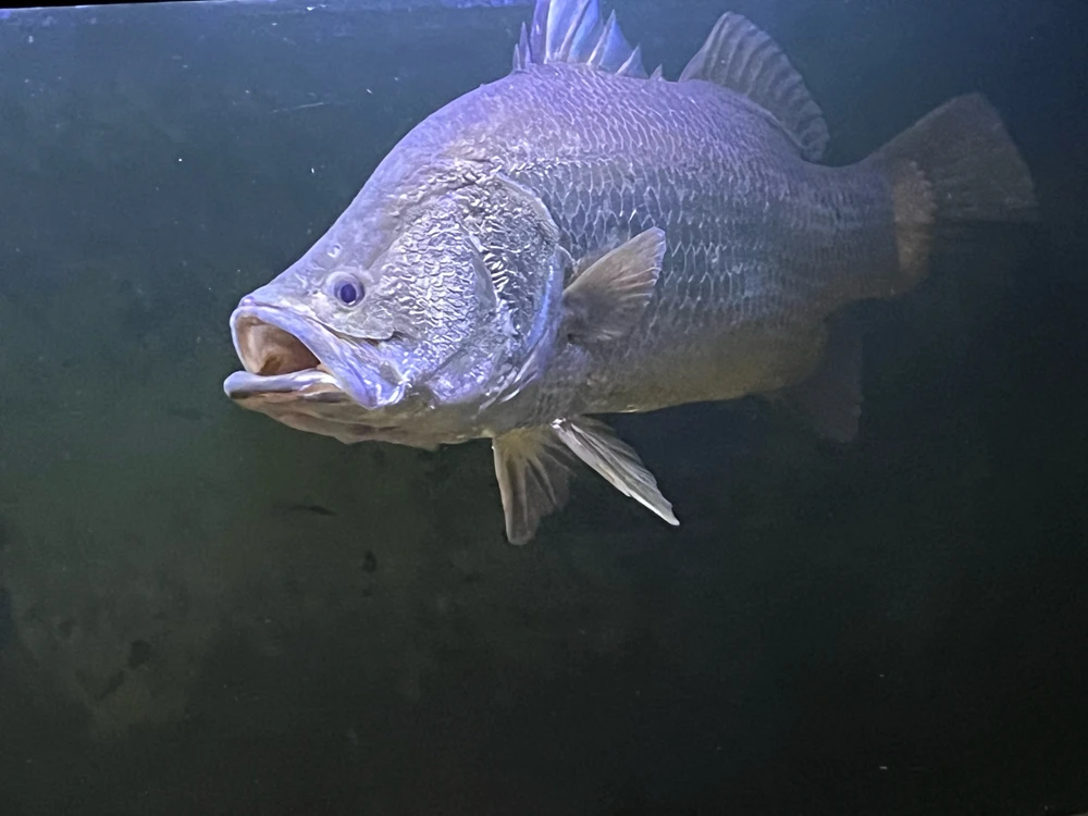 Image uploaded by Pascal