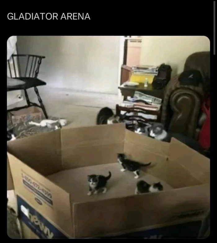 GIF diunggah dening Cody