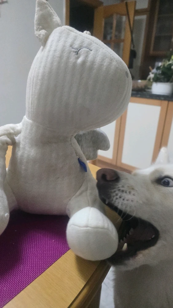 GIF subido por Oscar