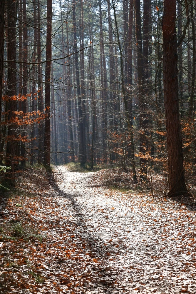 GIF diunggah dening Katarzyna