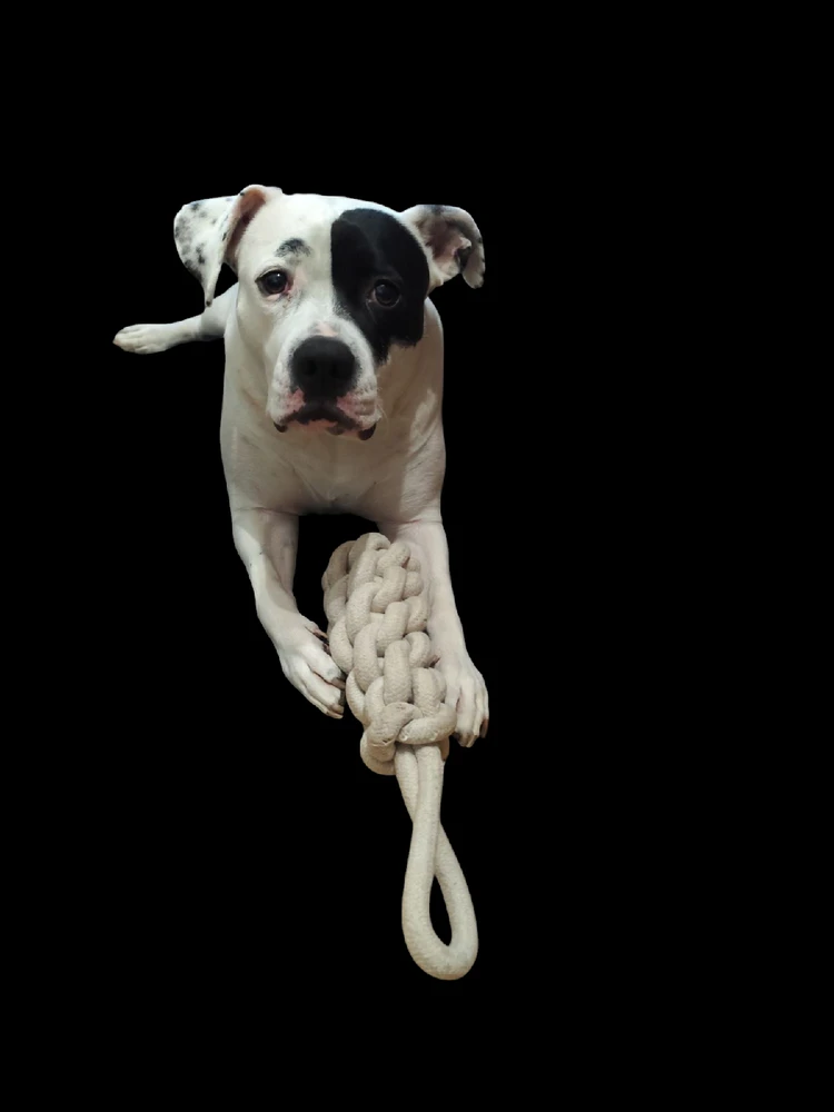 GIF dodany przez Łukasz