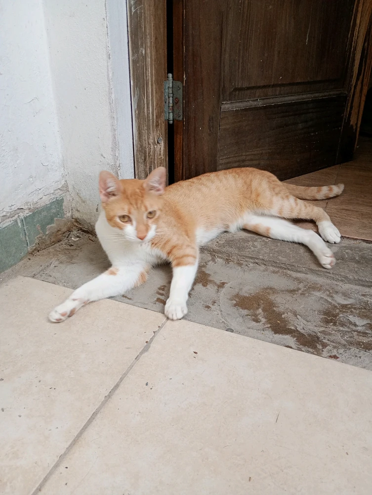 GIF subido por Andres