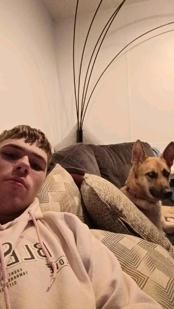 GIF uploaded by Daimian