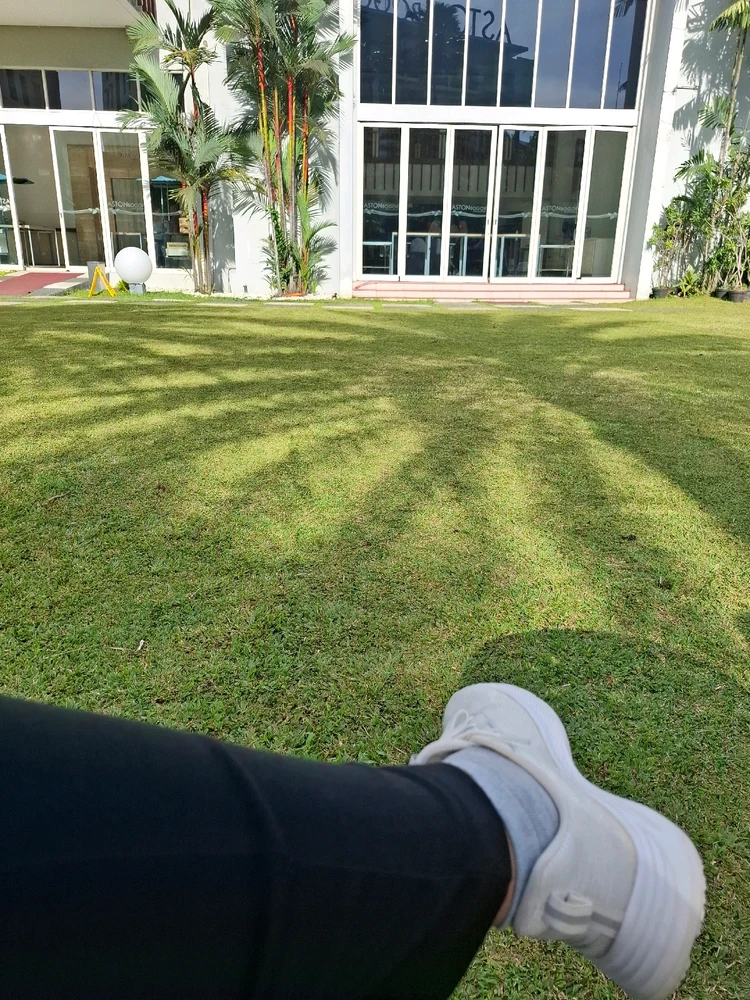 GIF uploaded by Marissa