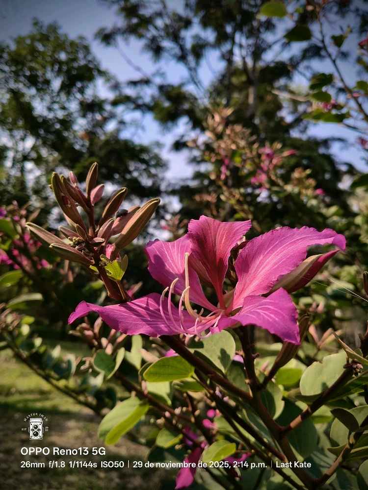 Imagen subida por Last Kate