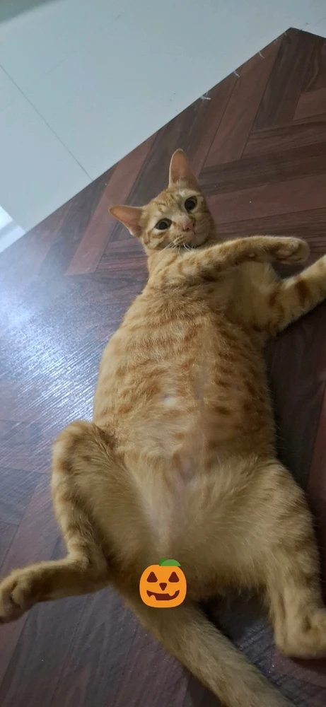 GIF uploaded by Jane