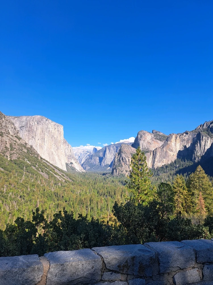 Image uploaded by Denis