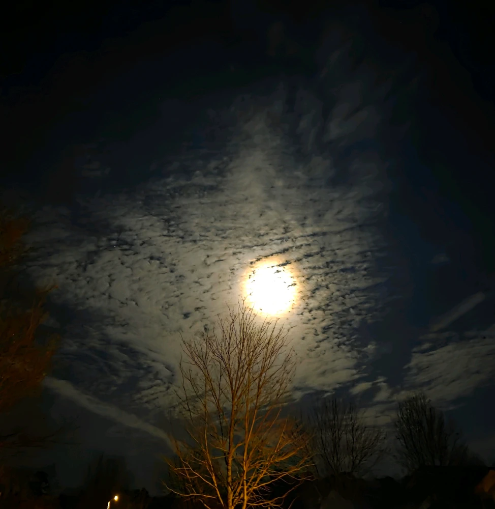 GIF uploaded by Rhea