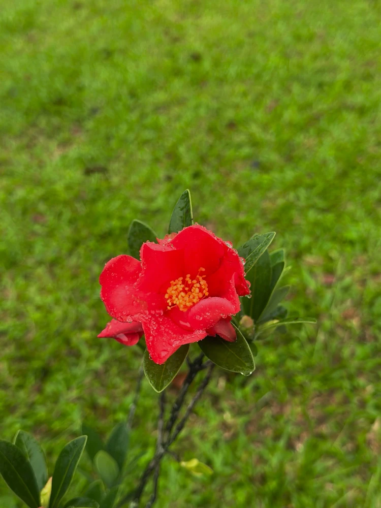 GIF diunggah oleh Diana