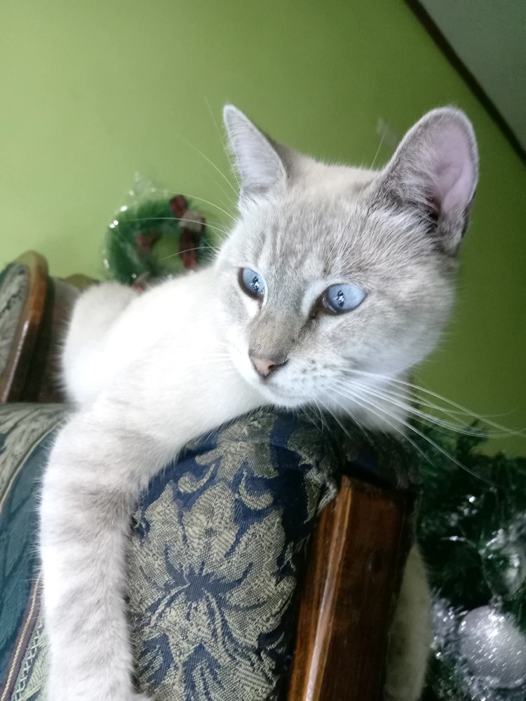 GIF subido por Dayra Martinez