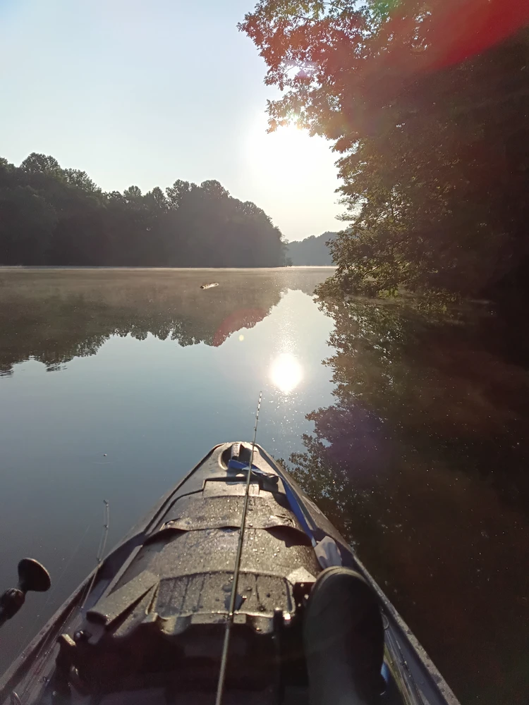 Image uploaded by Sonny