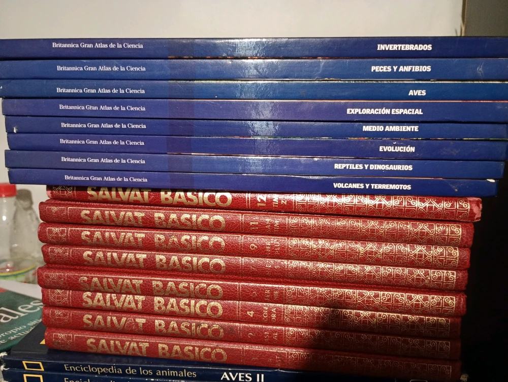 Imagen subida por Nathan