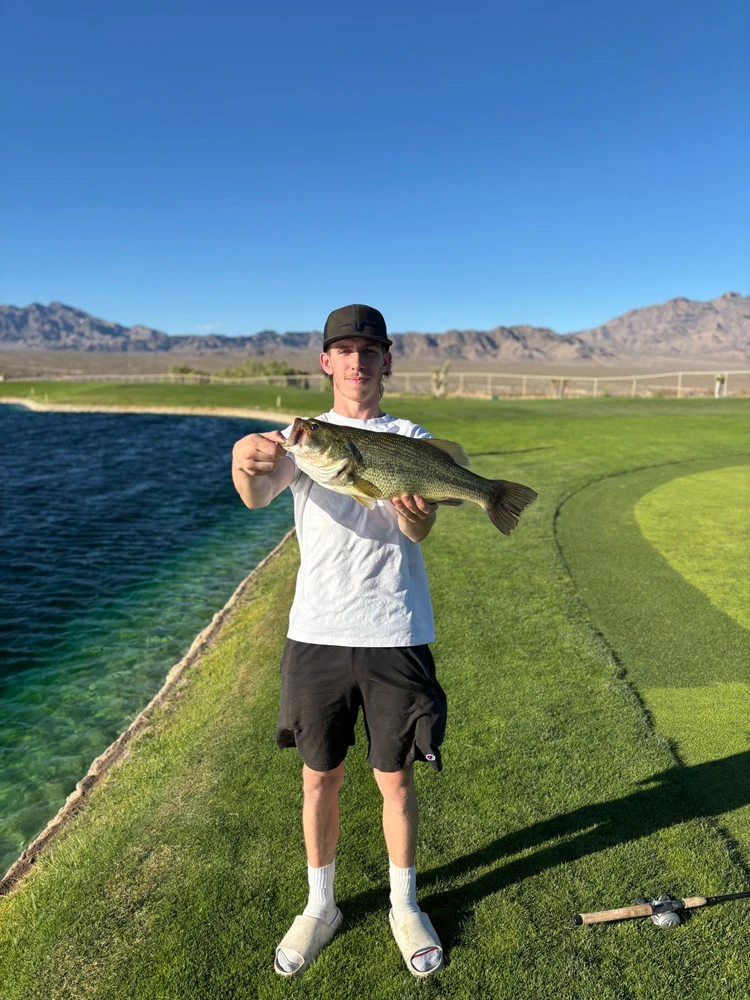 Image uploaded by Wyatt