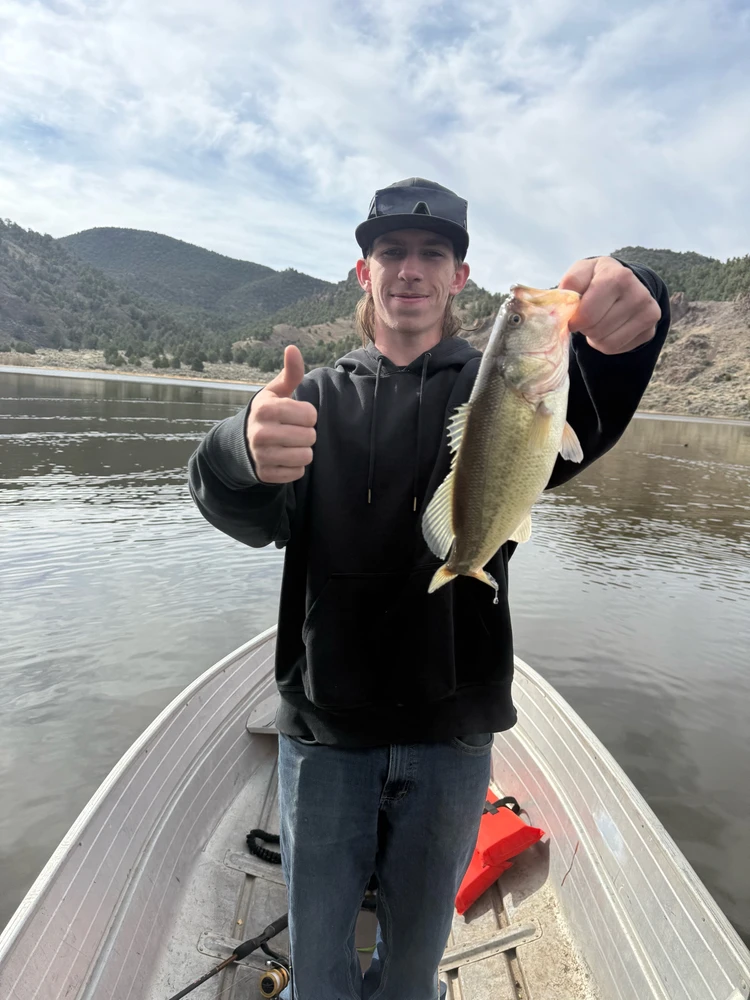 Image uploaded by Wyatt