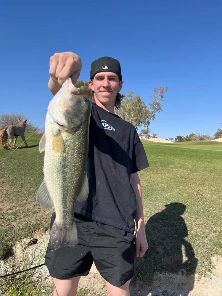 Image uploaded by Wyatt