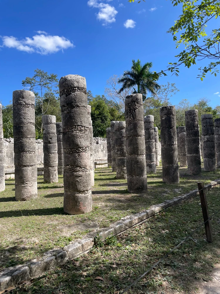 Image uploaded by Patrick