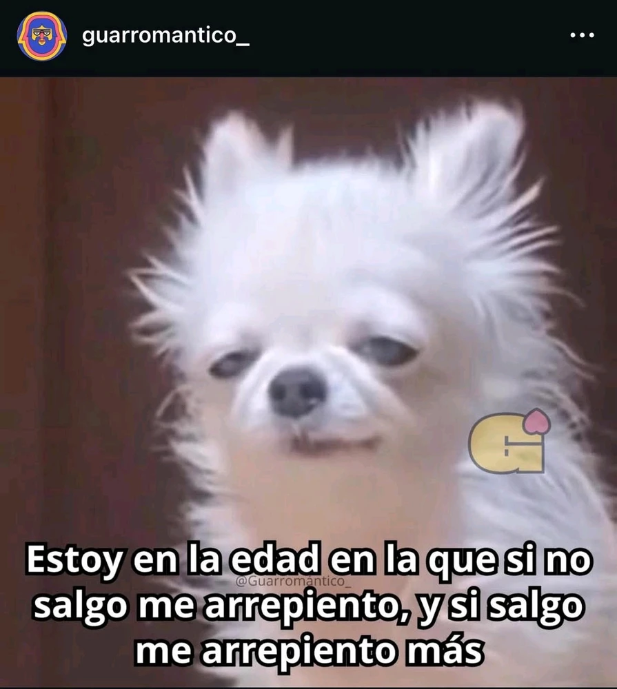 GIF subido por Rocio