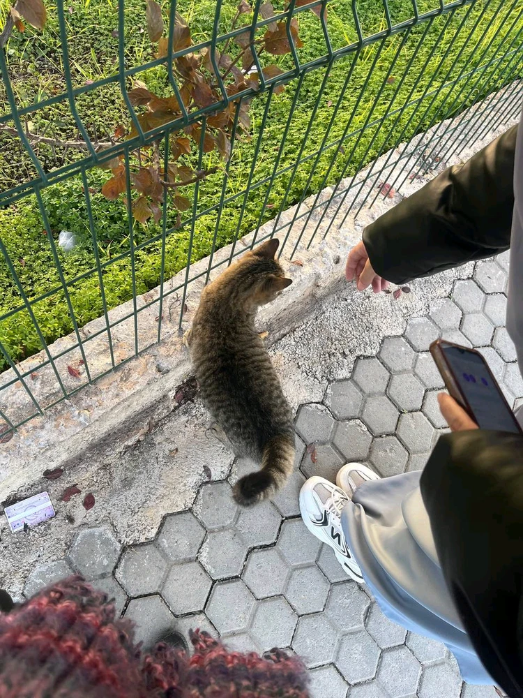 Image uploaded by Rofa