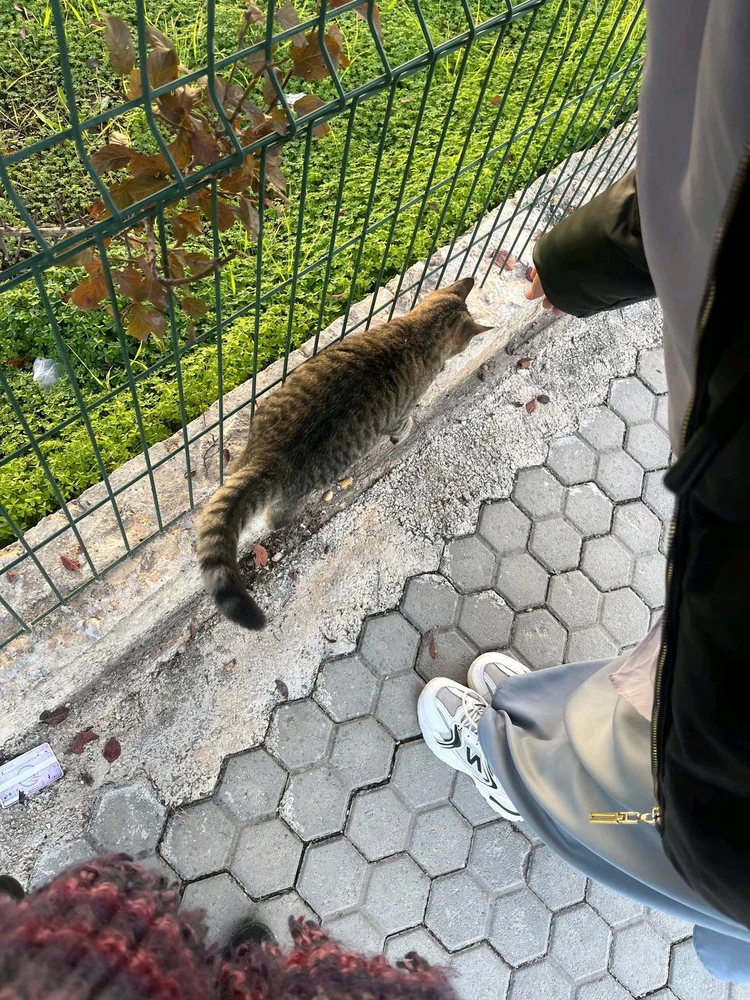 Image uploaded by Rofa