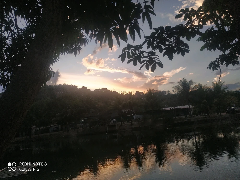 GIF subido por Guillermo