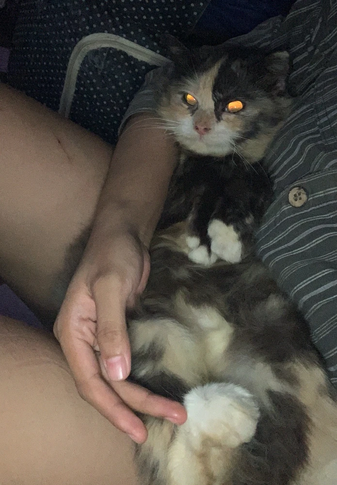 Image uploaded by Moon Anaa