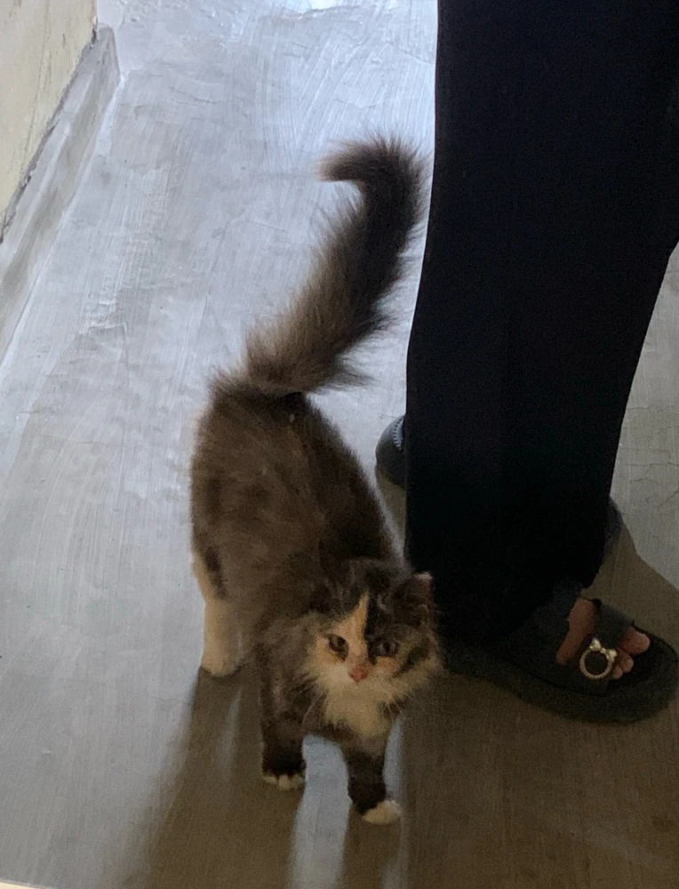 Image uploaded by Moon Anaa