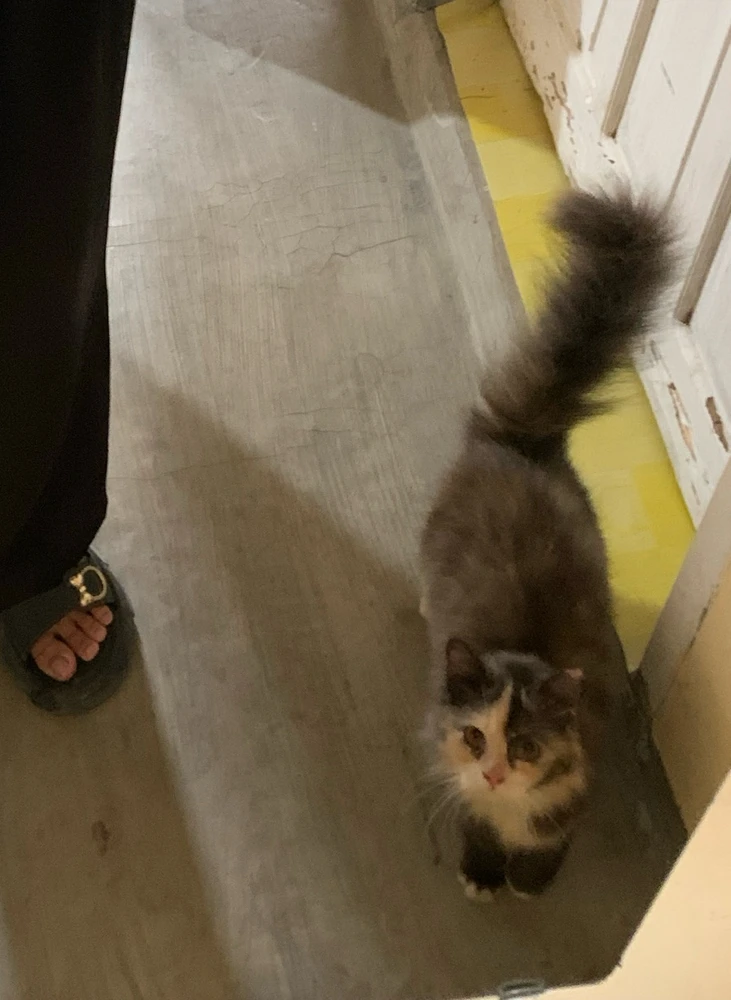 Image uploaded by Moon Anaa