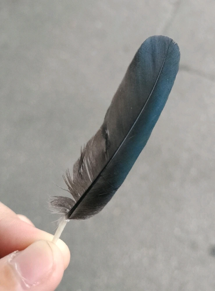 GIF uploaded by Cheryl