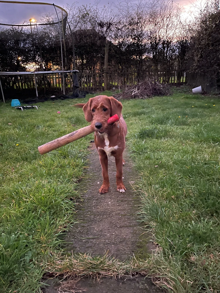 GIF uploaded by Gareth