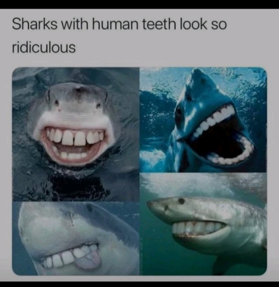 GIF uploaded by Holly