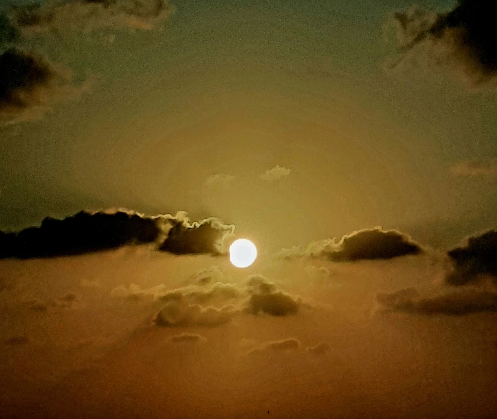 Image uploaded by Sama