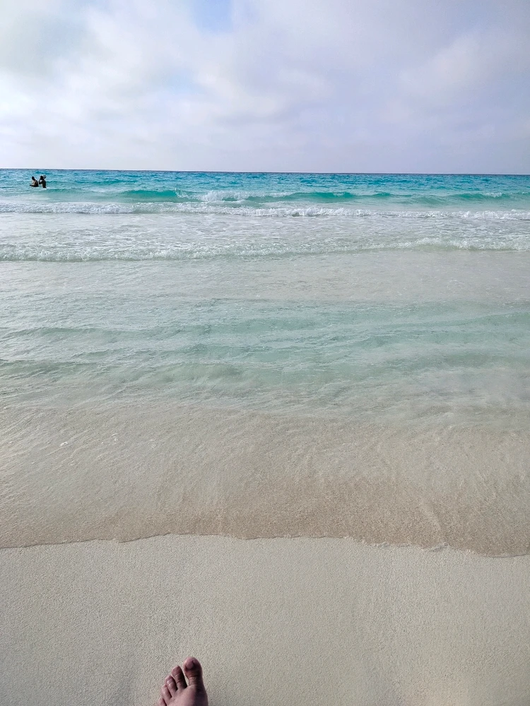 GIF uploaded by Karim Mohamed