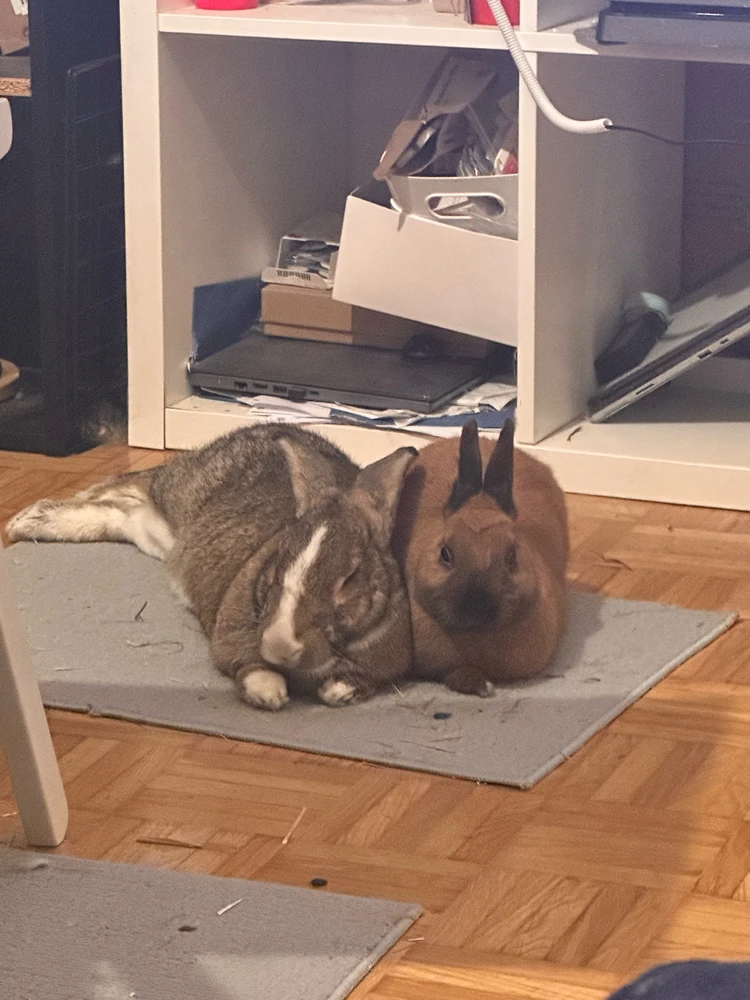 GIF uploaded by Gladys